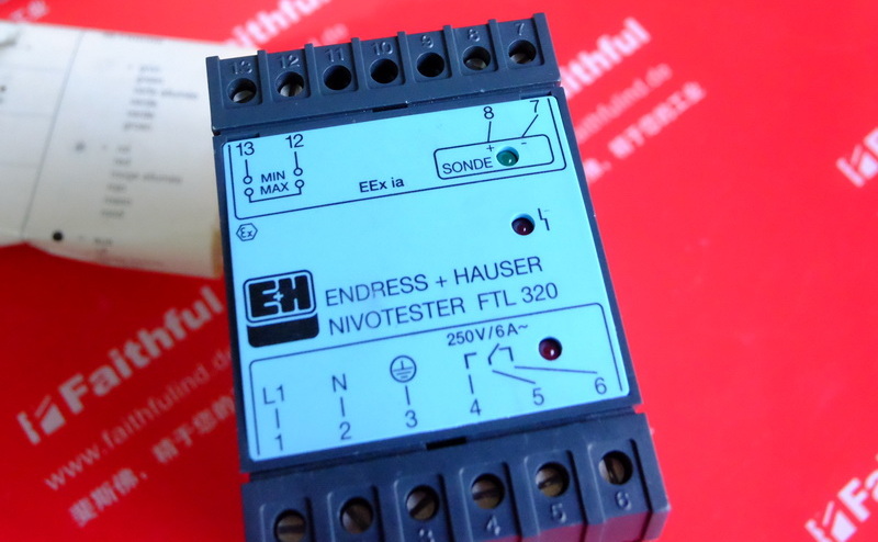 E+H FTL320-F1A1 恩德斯豪斯振动式限位检测 919929-0006 Endress+Hauser