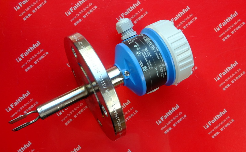 E+H FTL41-NBA8ABAAA3BJEBE2J 恩德斯豪斯音叉液位开关 FTL41-H0L1/0 Endress+Hauser FEL48